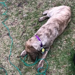 Meet your Posher, Karina